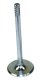 ENGINE VALVE
