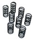 VALVE SPRINGS PERF