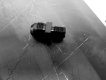 STR. ADAPTER #8X1/4 NPT